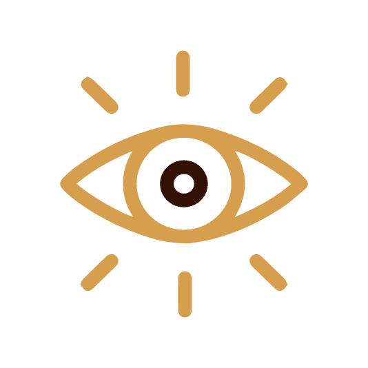 Vizija